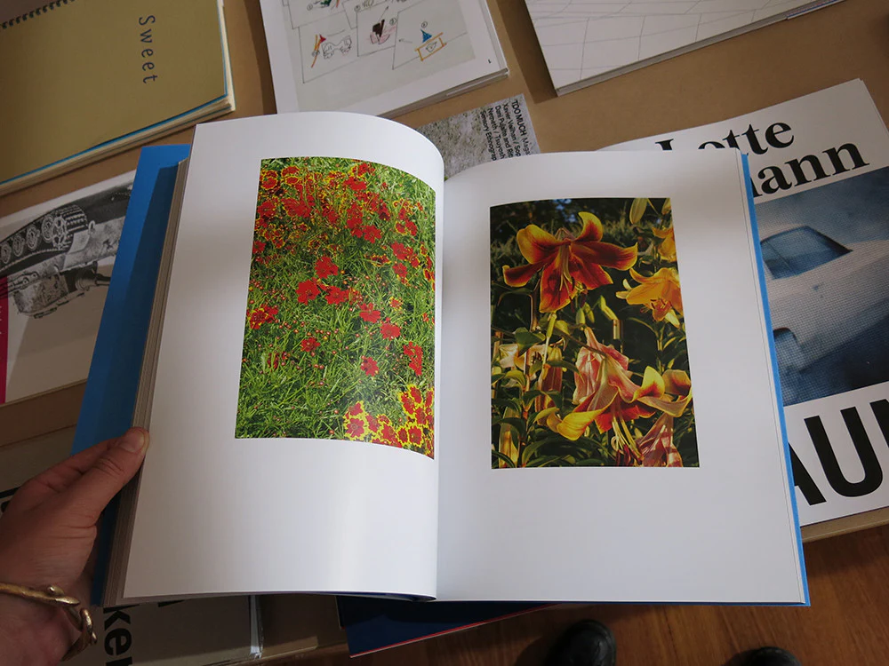 20/20 Vision - Image 4