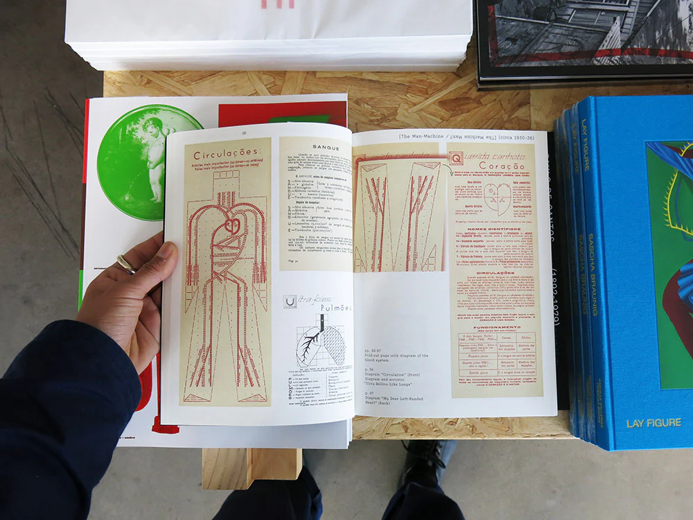 A Cantos Compendium: Paulo de Cantos (1892-1979), A Designer of Pedagogical Theories - Image 5