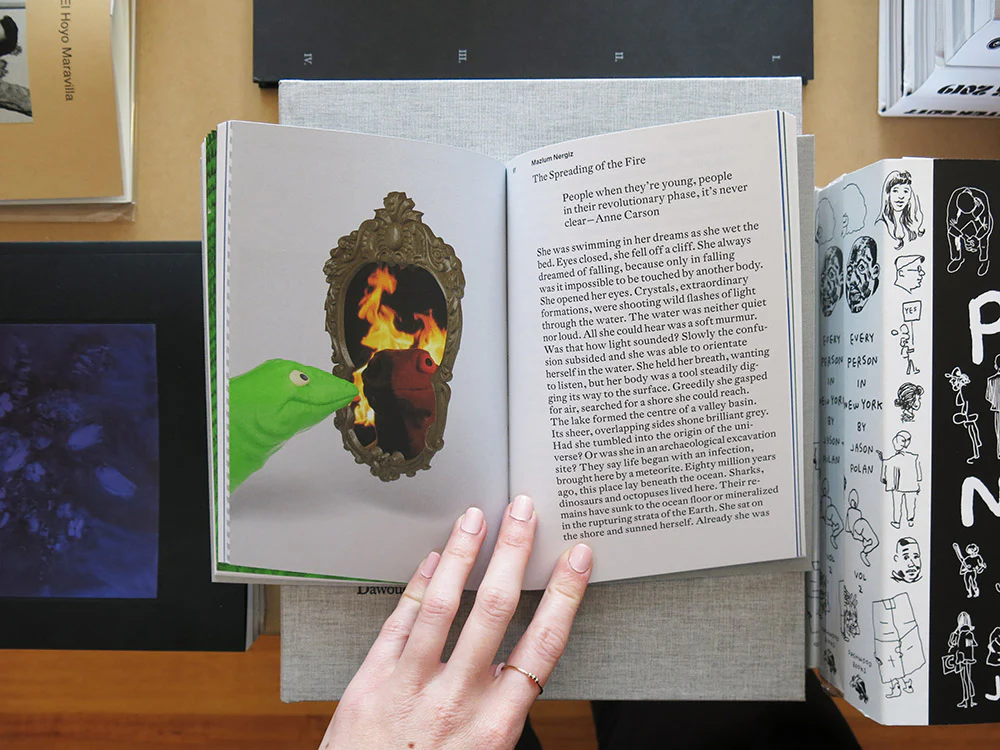 A Fascinating Plan - Image 6