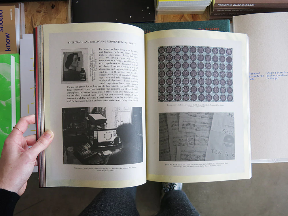A Magazine 23: Curated by Francesco Risso - Image 5