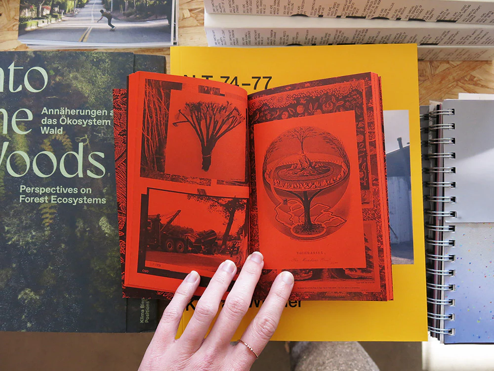 A Tree, A Reader on Arboreal Kinship - Image 5