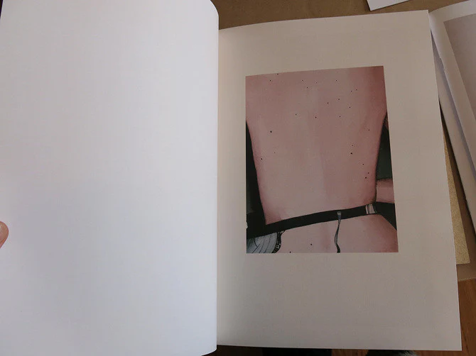 Aaron McElroy - The Devil May Care - Image 2