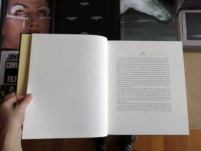 Alec Soth – Niagara - Image 2