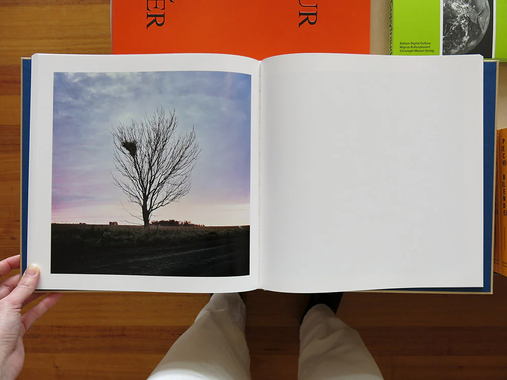 Alessandra Sanguinetti – The Adventures of Guille and Belinda and The Illusion of an Everlasting Summer - Image 6