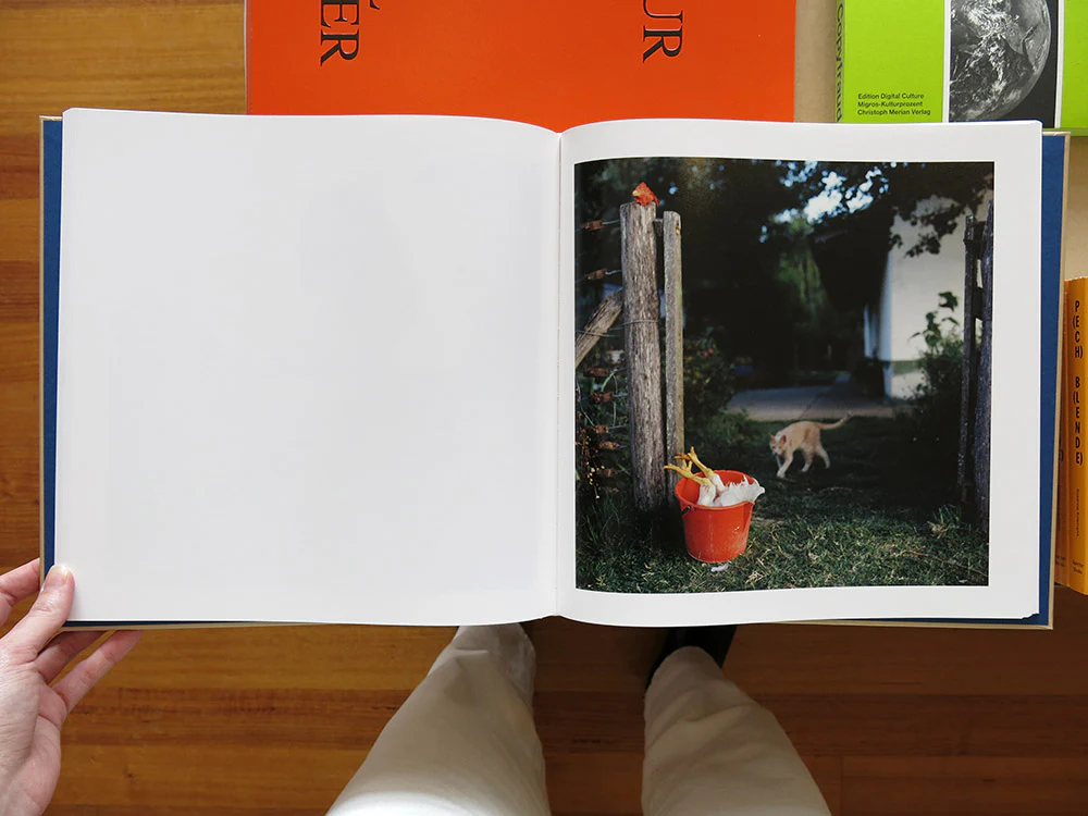 Alessandra Sanguinetti – The Adventures of Guille and Belinda and The Illusion of an Everlasting Summer - Image 8