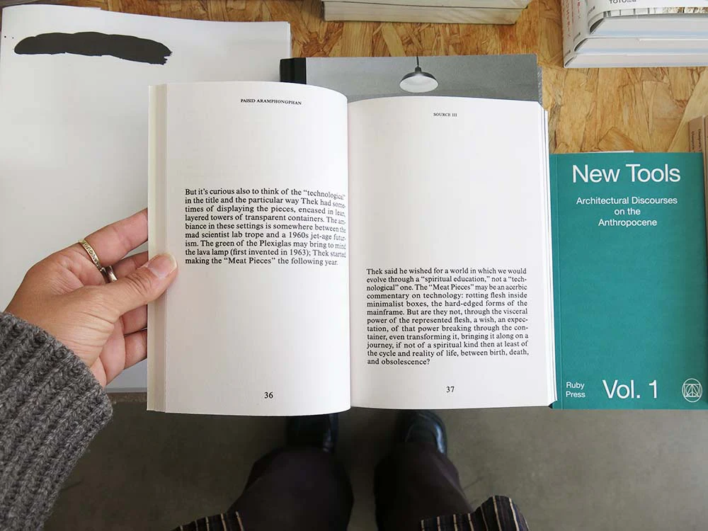 Alessandro Di Pietro: Ghostwriting Paul Thek - Image 8