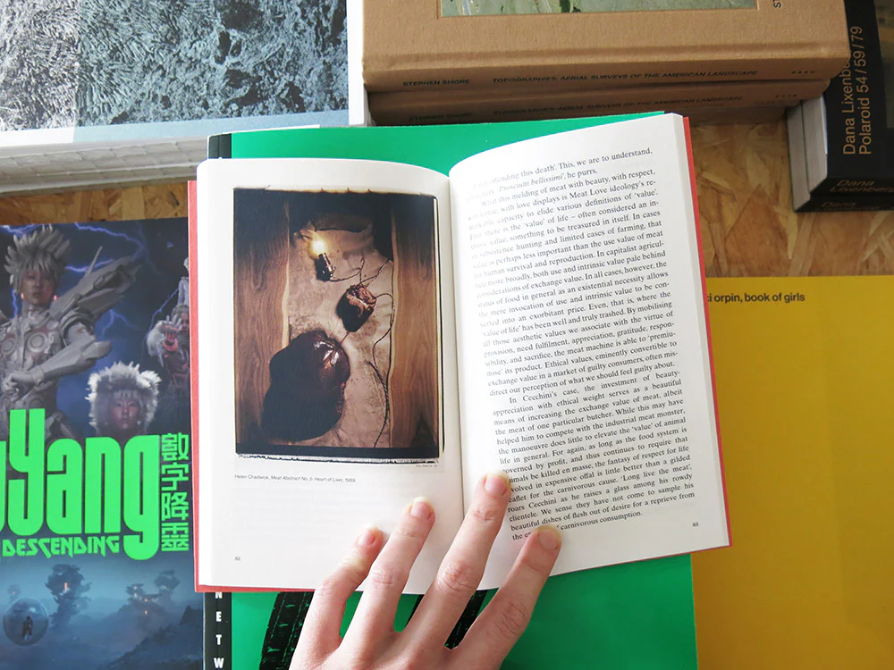 Amber Husain – Meat Love: An Ideology of the Flesh - Image 6