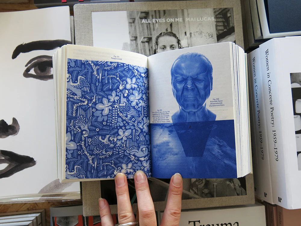 Anna Püschel – Encyclopedia of the Uncertain - Image 7