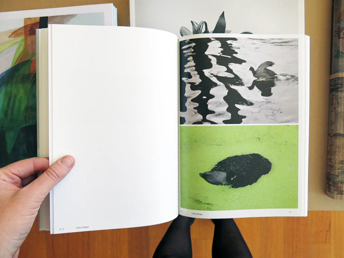 Anne Geene & Arjan De Nooy - Ornithology - Image 3