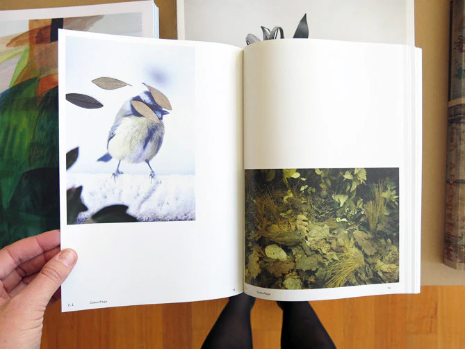 Anne Geene & Arjan De Nooy - Ornithology - Image 4