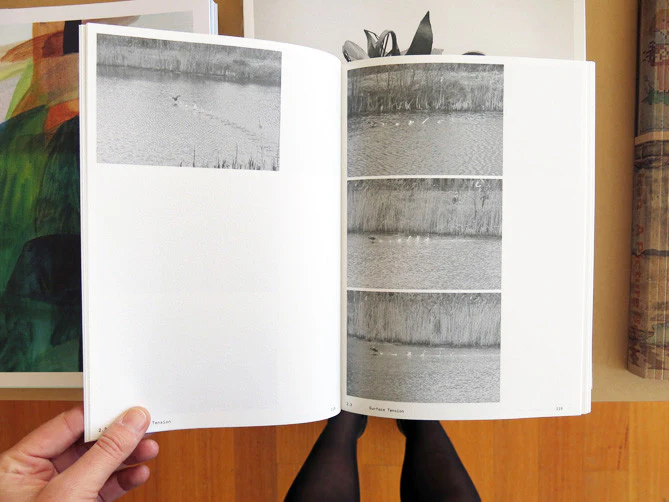 Anne Geene & Arjan De Nooy - Ornithology - Image 5