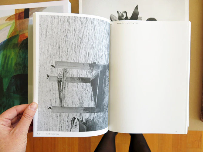 Anne Geene & Arjan De Nooy - Ornithology - Image 7