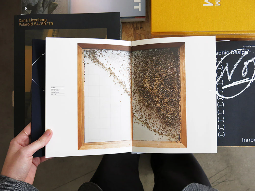 Anne Noble āĀ ConversÄtiÅ: In the Company of Bees - Image 6