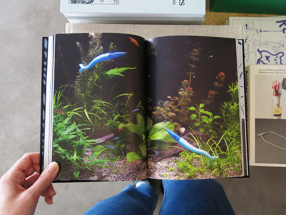 Annegien van Doorn – Biophilia - Image 7