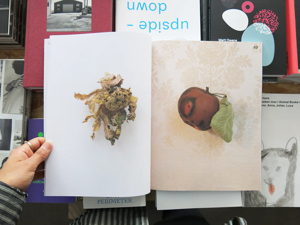 ARCH+ Kunst: Karin Sander - Image 3
