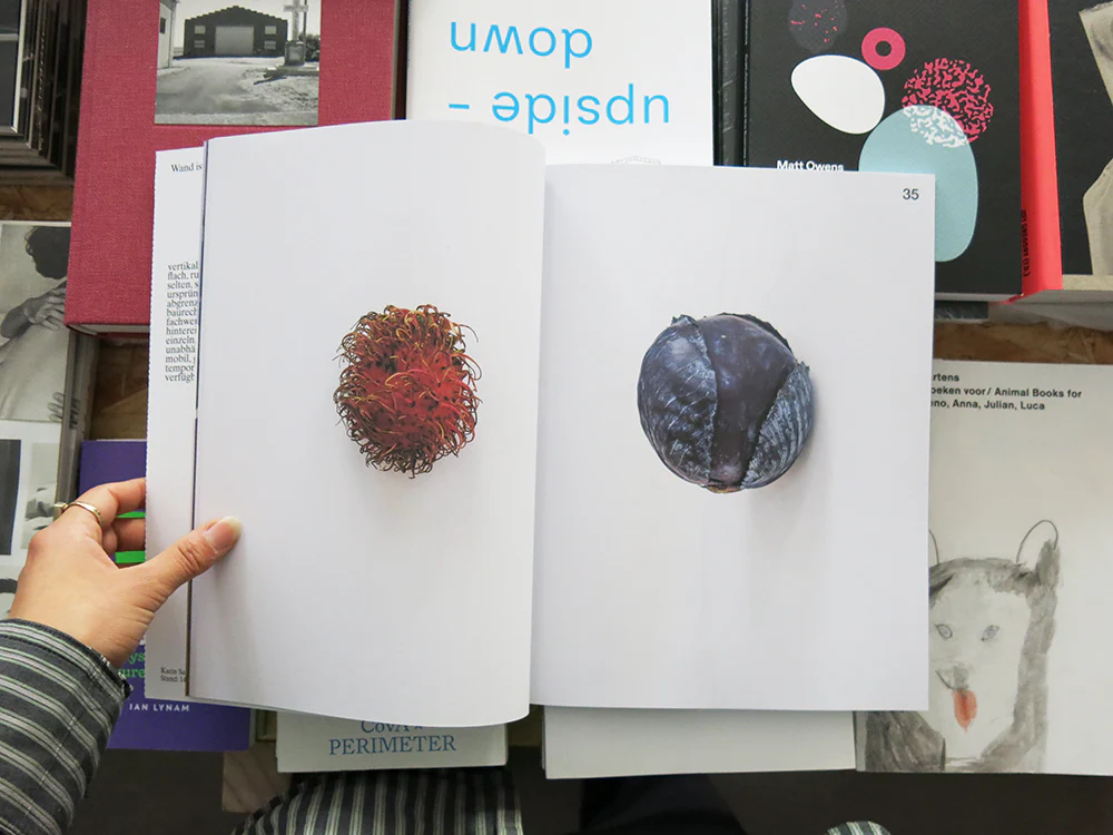 ARCH+ Kunst: Karin Sander - Image 4