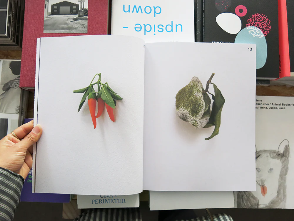 ARCH+ Kunst: Karin Sander - Image 6