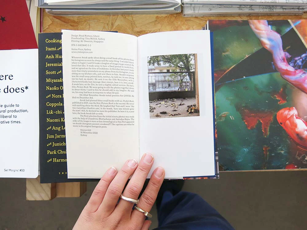 Aveek Sen – Picture Book - Image 4