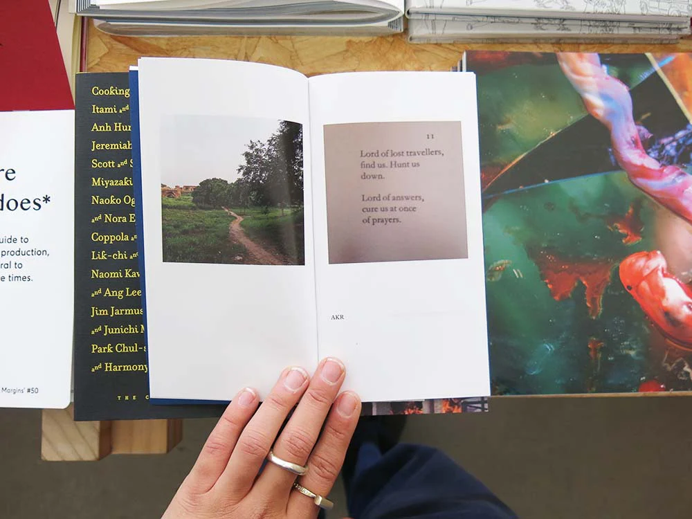 Aveek Sen – Picture Book - Image 8