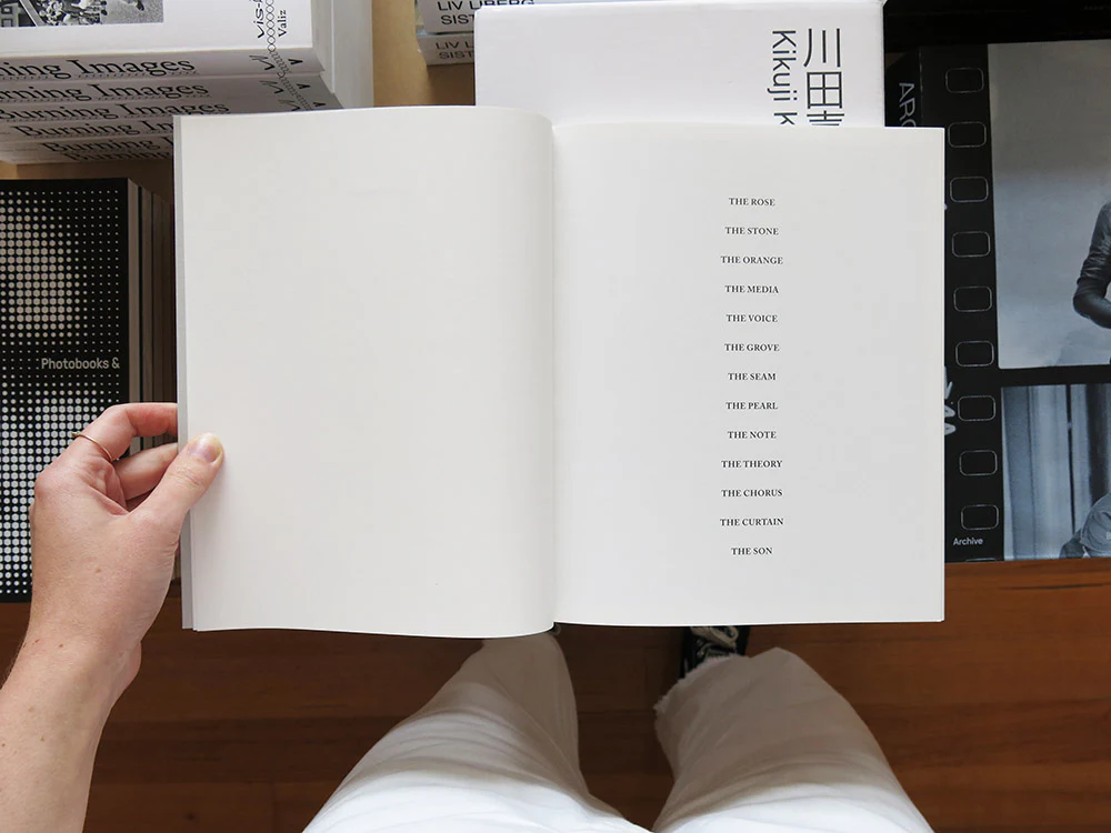 Barbara Bloom & Ben Lerner – Gold Custody - Image 2