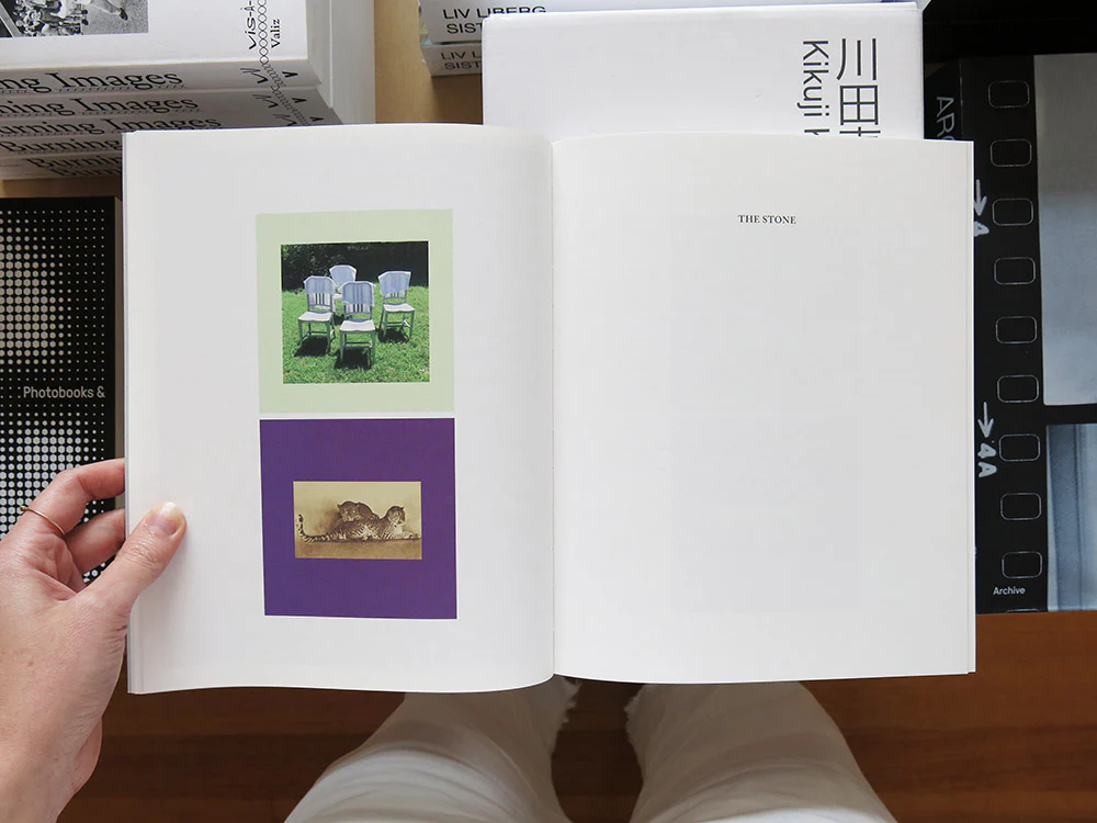 Barbara Bloom & Ben Lerner – Gold Custody - Image 4