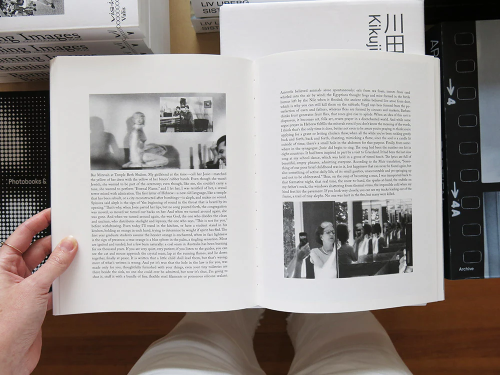Barbara Bloom & Ben Lerner – Gold Custody - Image 7