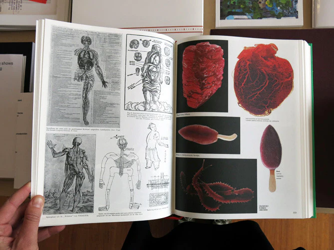 Batia Suter – Parallel Encyclopedia 2 - Image 6
