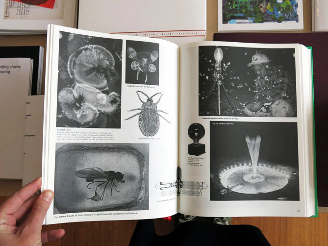 Batia Suter – Parallel Encyclopedia 2 - Image 7