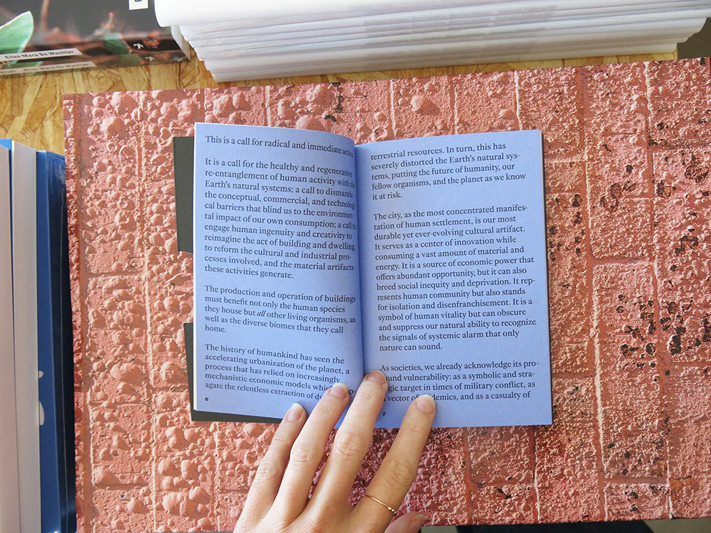 Bauhaus Earth – Toward Re-Entanglement: A Charter for the City and the Earth - Image 3