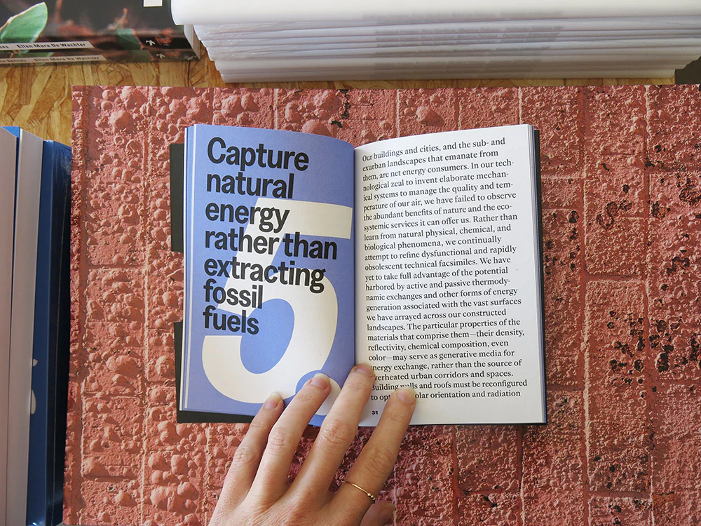 Bauhaus Earth – Toward Re-Entanglement: A Charter for the City and the Earth - Image 4