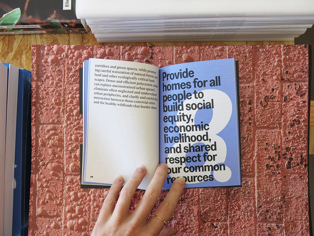 Bauhaus Earth – Toward Re-Entanglement: A Charter for the City and the Earth - Image 5