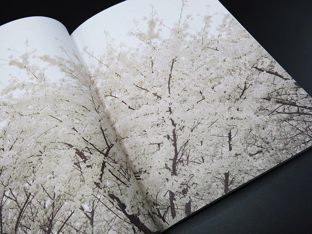 SPECIAL EDITION: Bec Parsons – Coney Island - Image 3