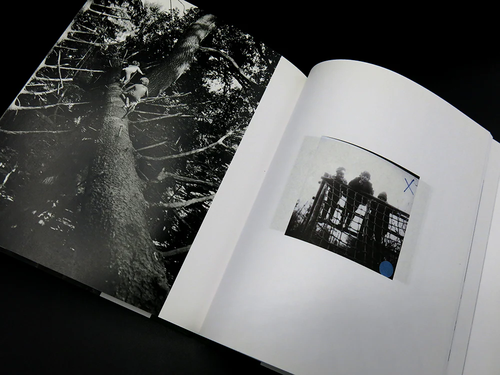 Bertien van Manen – Easter and Oak Trees (Rare) - Image 4