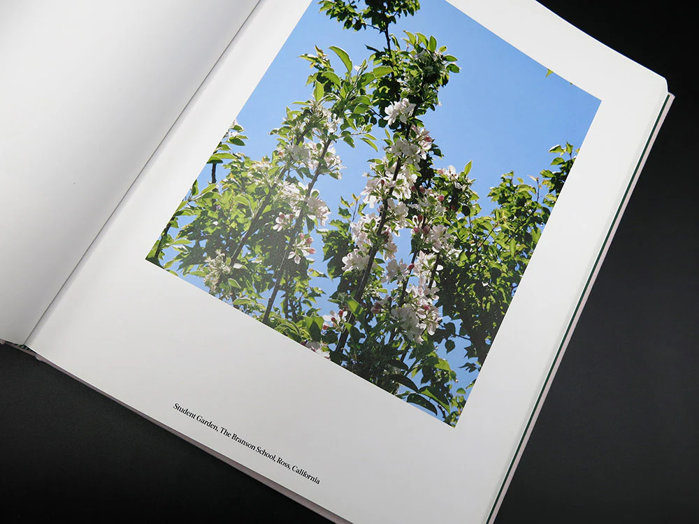Buck Ellison – Living Trust (Rare) - Image 5
