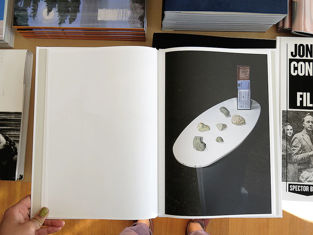 Camille Picquot – Domestic Flight - Image 4