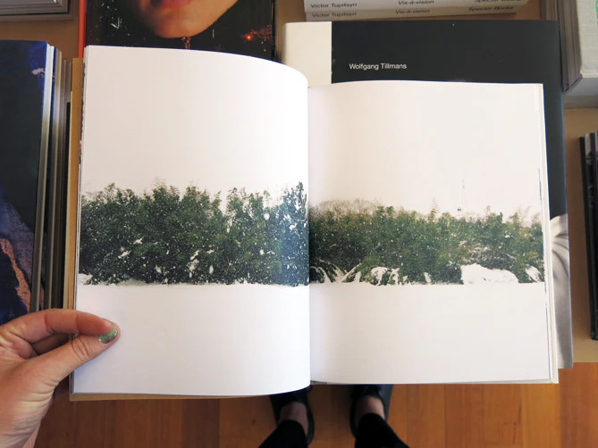 Carine Thévenau - Seasonal Abandonment of Imaginary Worlds - Image 3
