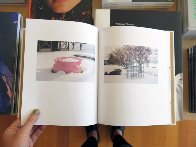 Carine Thévenau - Seasonal Abandonment of Imaginary Worlds - Image 5