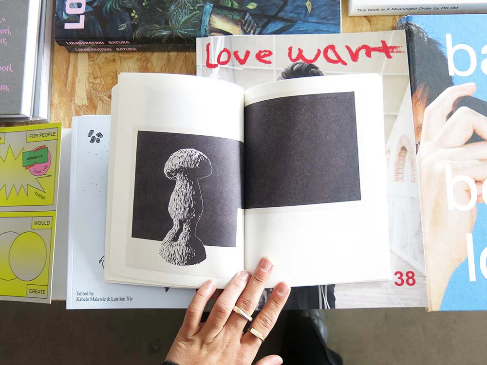 Carl D'Alvia – Paper Trail - Image 2