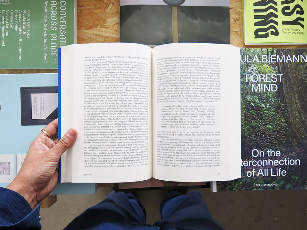 Carol Armstrong – Painting Photography Painting: Selected Essays - Image 6