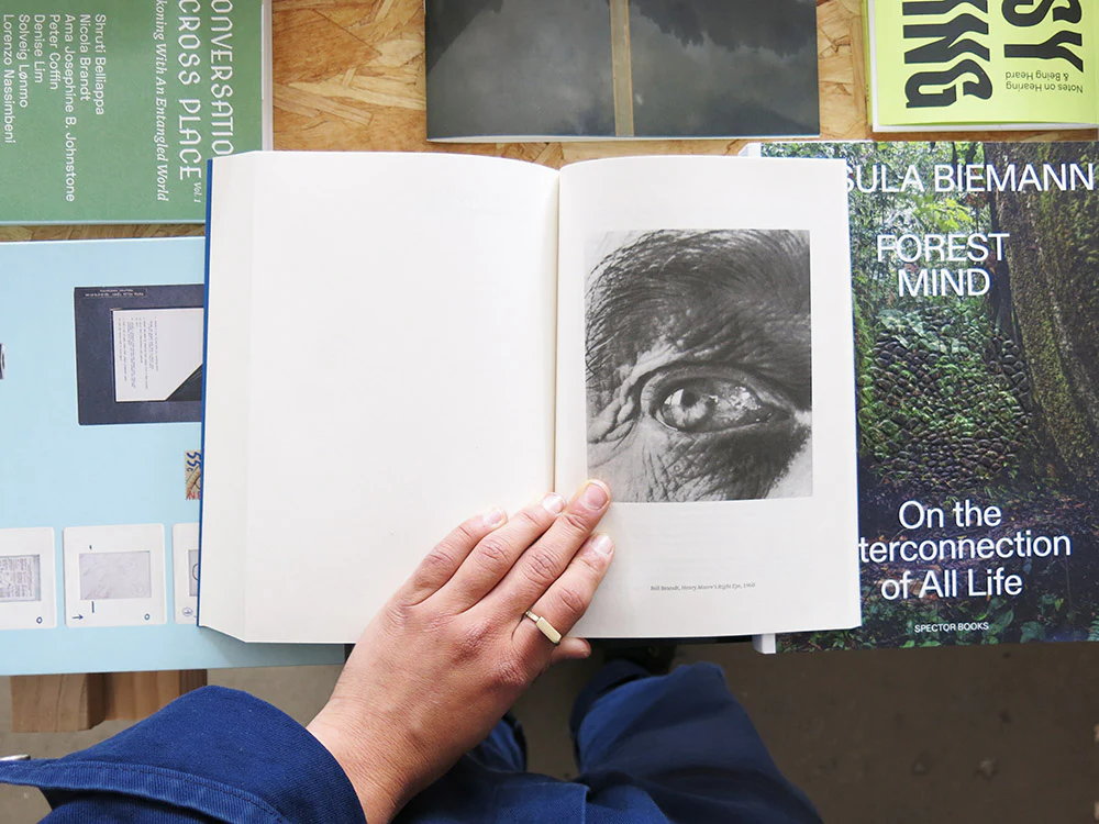 Carol Armstrong – Painting Photography Painting: Selected Essays - Image 9
