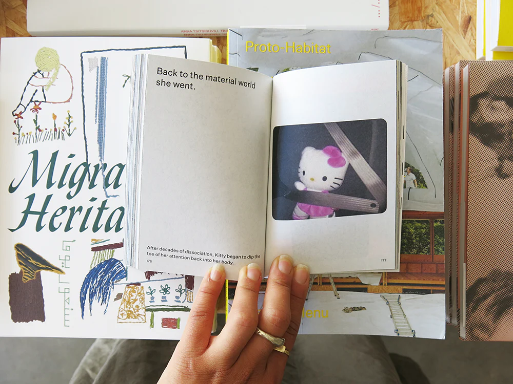 Charlie Engman – Hello Chaos, a Love Story: The Disorder of Seeing and Being Seen - Image 7