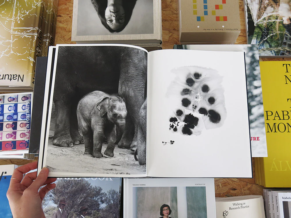 Charlotte Dumas – Entendue - Image 3