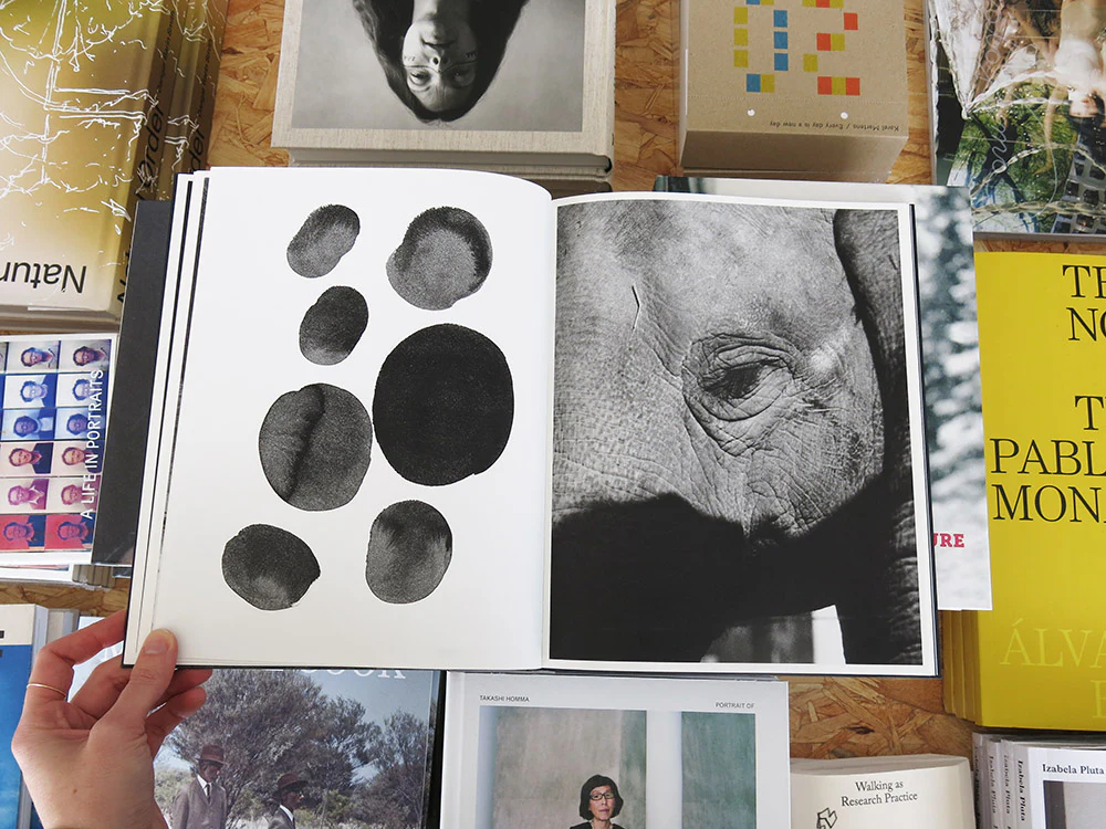 Charlotte Dumas – Entendue - Image 4