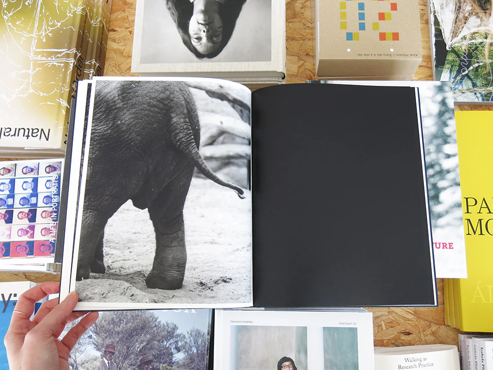 Charlotte Dumas – Entendue - Image 6