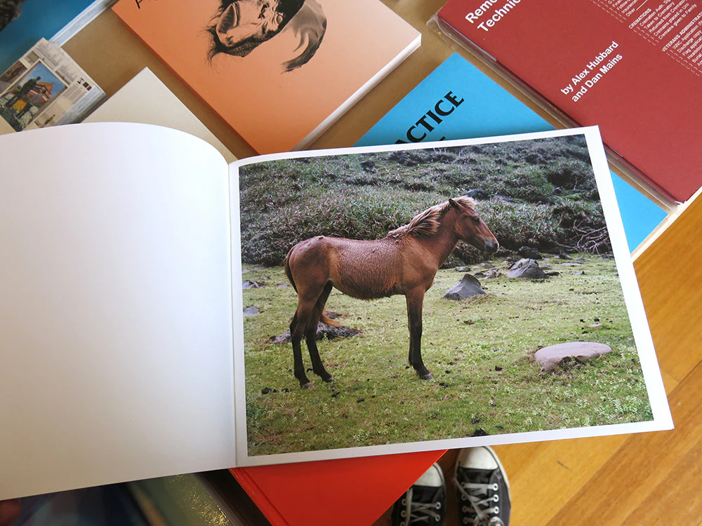 Charlotte Dumas - WORK HORSE - Image 4