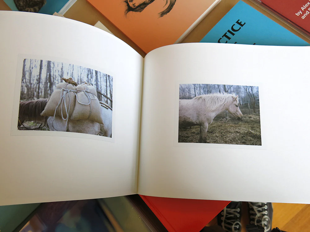 Charlotte Dumas - WORK HORSE - Image 7