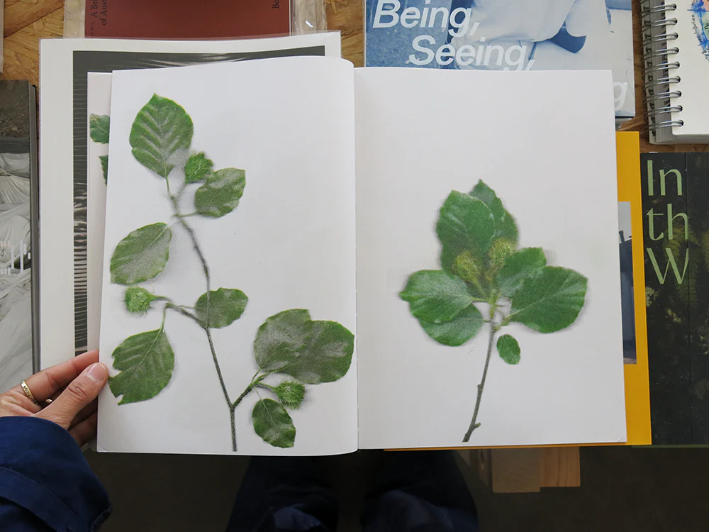 Christian+Jade – The beech at the end of a star - Image 9