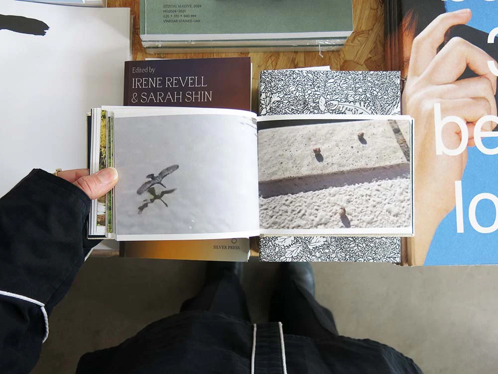 Cintia Tortosa Santisteban – Screenshots from a series of videos about a rice field and its surroundings - Image 7