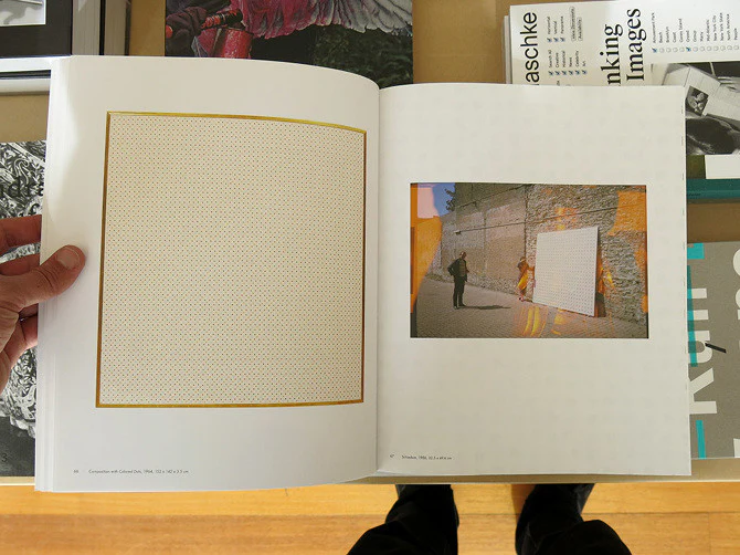 Daan Van Golden - Apperception - Image 4