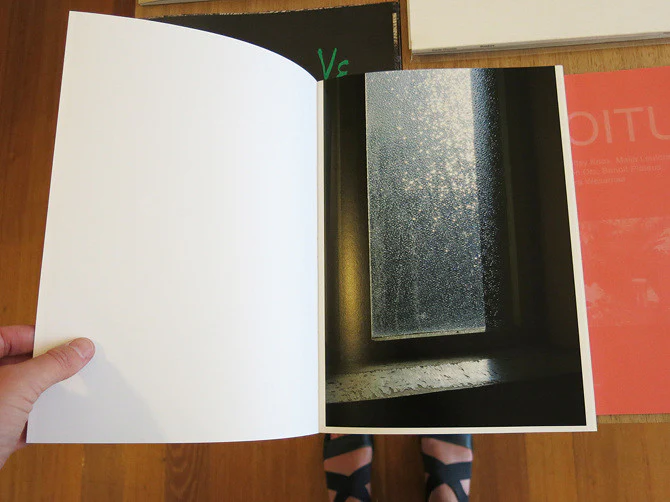 Dagmar Kolatschny - Sunny - Image 4